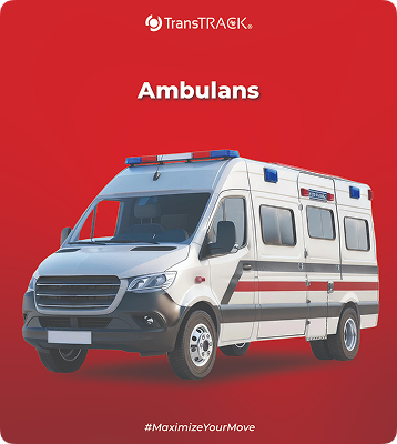 Fleet Optimization for Medical & Chemical Industry