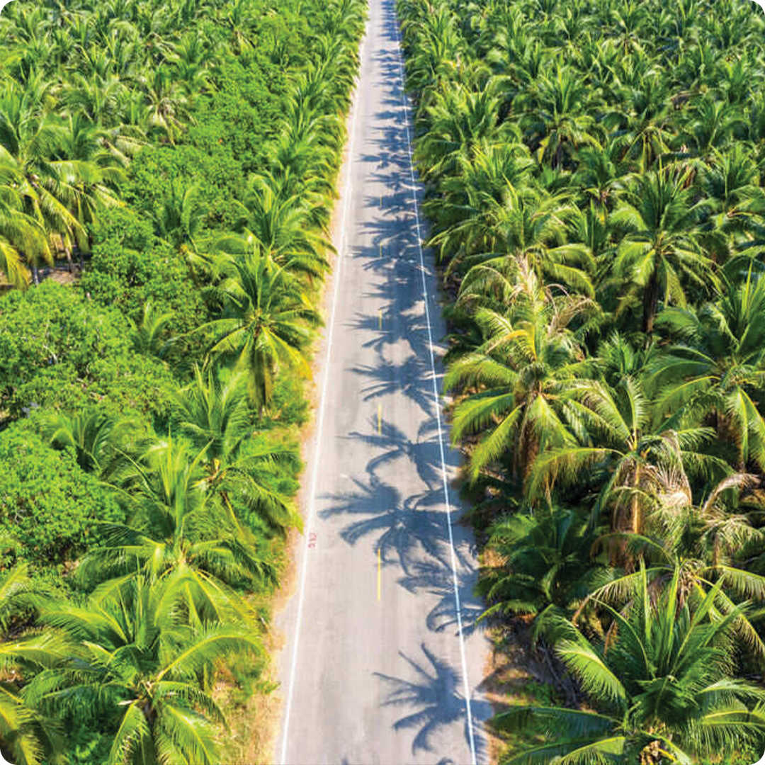 Perhutanan, Perkebunan & Agribisnis